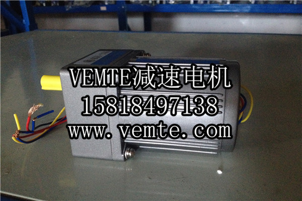 小電機(jī)，小型調(diào)速電機(jī),微型減速電機(jī) (2)